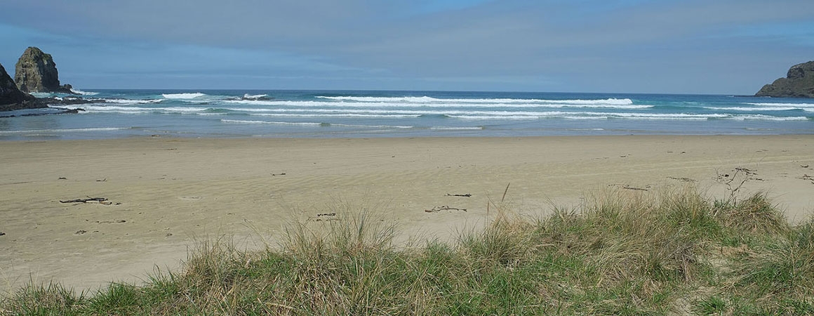 beautiful beaches of Catlins